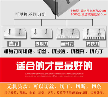 1512367883561909.jpg sh.jpg