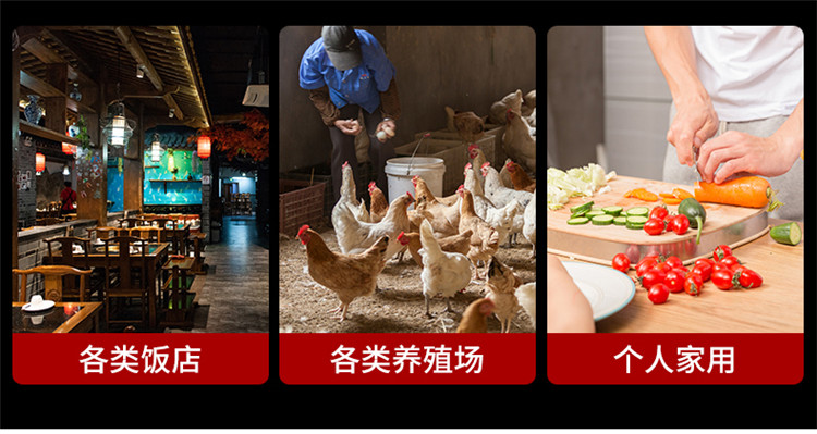 食品機(jī)械 食品機(jī)械